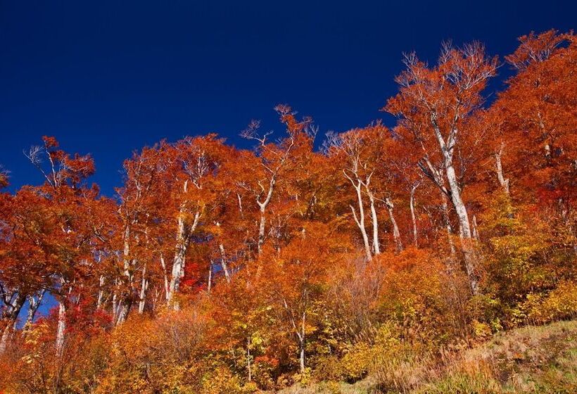 Рёкан Bunano Sato Shirakamikan