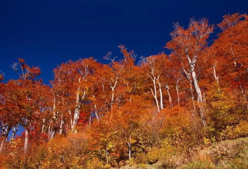 Ryokan Bunano Sato Shirakamikan
