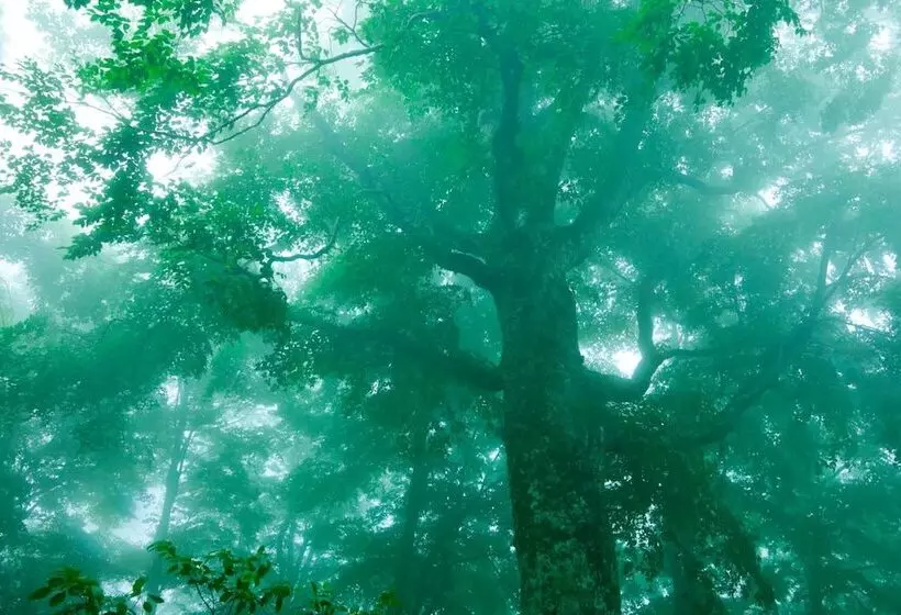 Ryokan Bunano Sato Shirakamikan