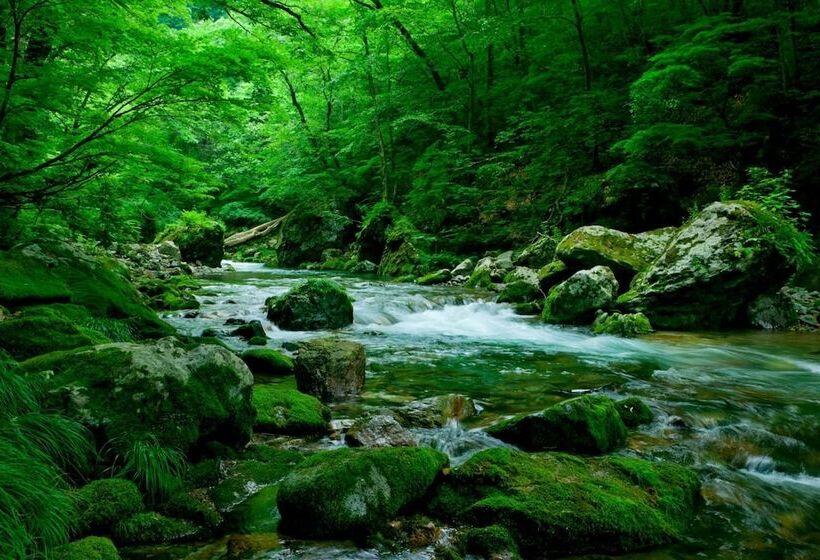 Рёкан Bunano Sato Shirakamikan