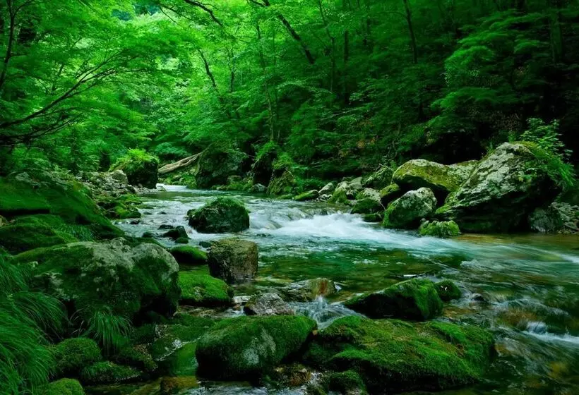 Ryokan Bunano Sato Shirakamikan