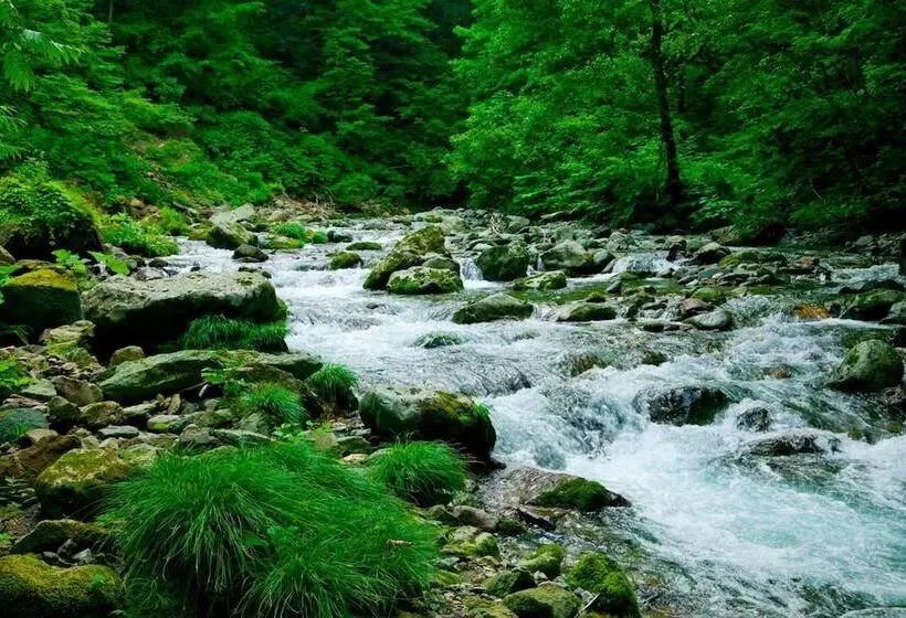 Ryokan Bunano Sato Shirakamikan