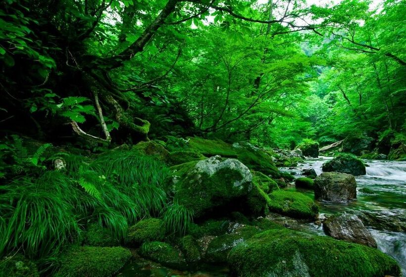 Рёкан Bunano Sato Shirakamikan