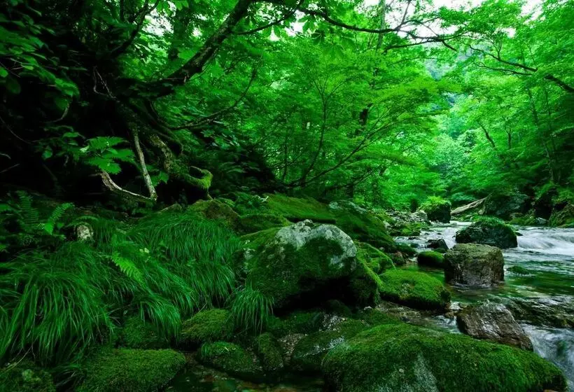 Ryokan Bunano Sato Shirakamikan
