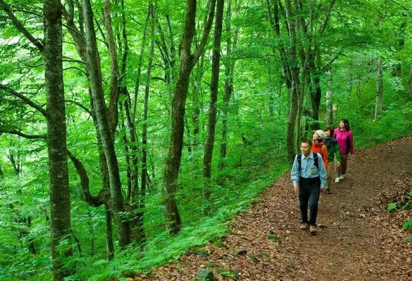 Ryokan Bunano Sato Shirakamikan