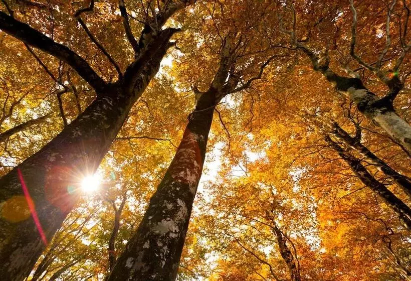 Ryokan Bunano Sato Shirakamikan