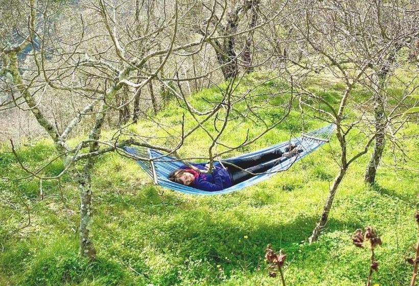 Bed and Breakfast Benvenuti Nel Sud