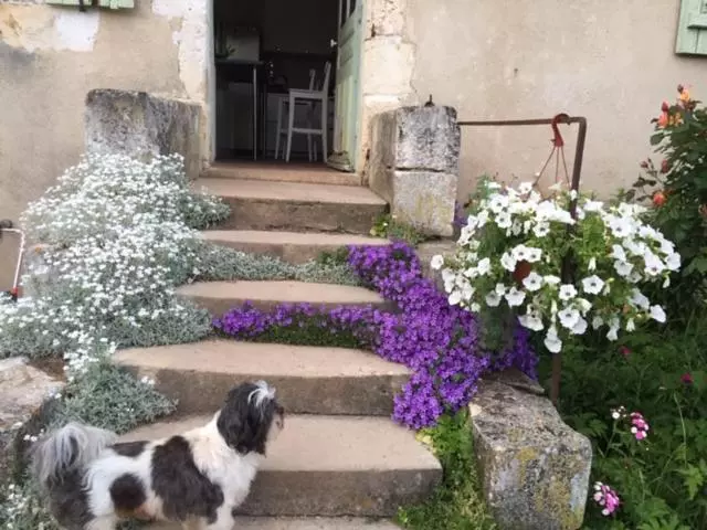 Aamiaismajoitus (B&B) Demeure De Forterre