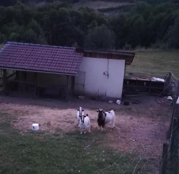 مبيت وإفطار Ferme Auberge à La Colline