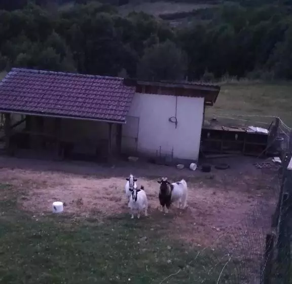 Aamiaismajoitus (B&B) Ferme Auberge à La Colline