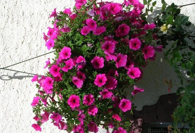 مبيت وإفطار Ferme Auberge à La Colline