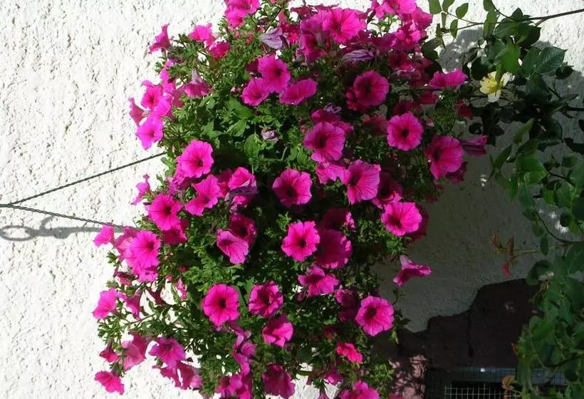 Aamiaismajoitus (B&B) Ferme Auberge à La Colline