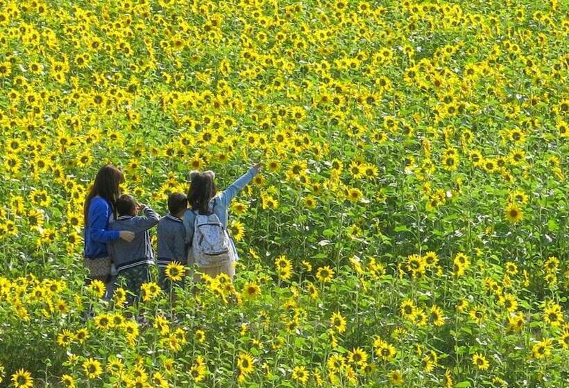 Отель Avan Sukumo