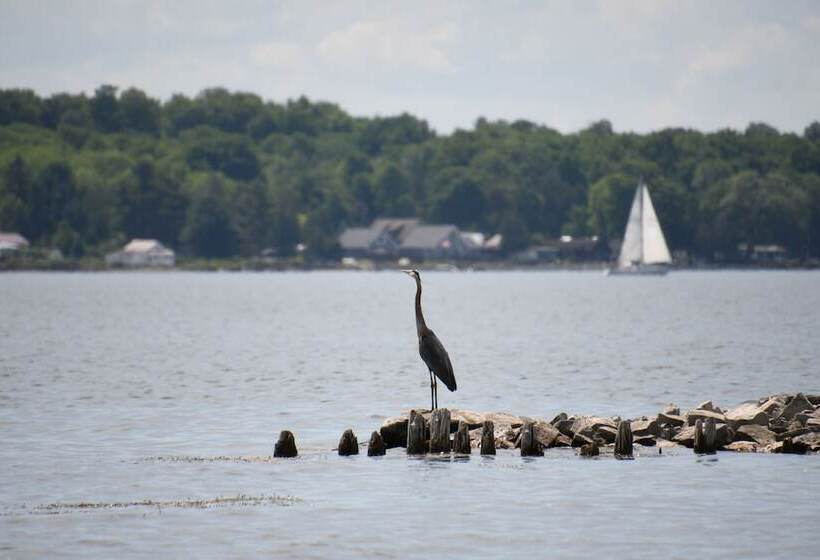 בית מלון כפרי Dewar's Inn On The River