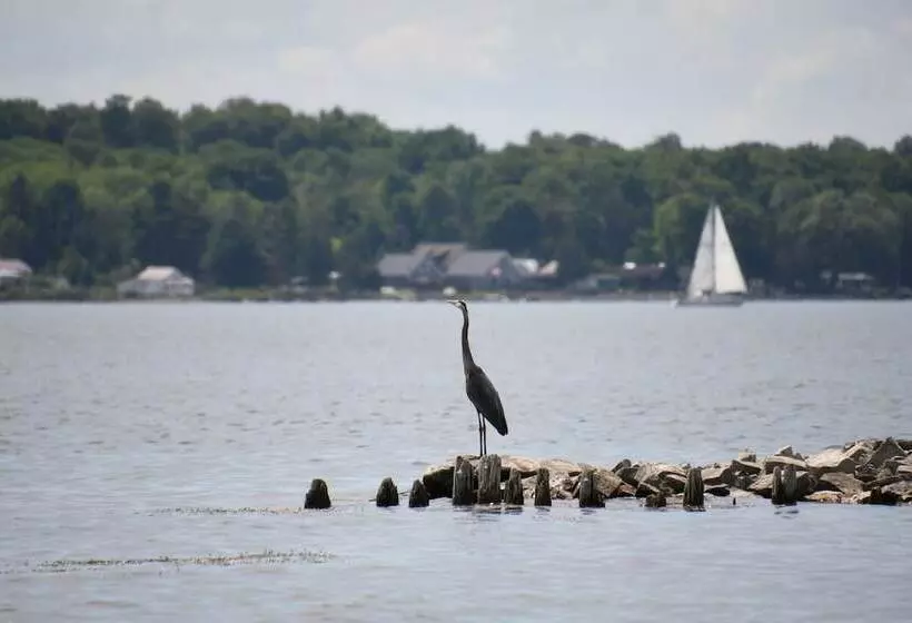 Hotelli Dewar's Inn On The River