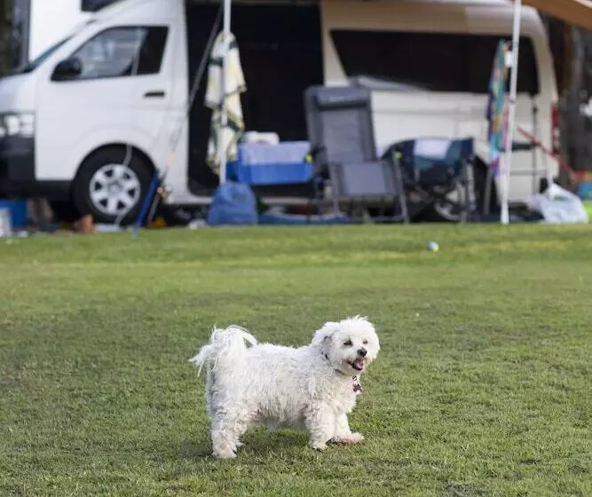 Hotelli Reflections Bonny Hills   Holiday Park