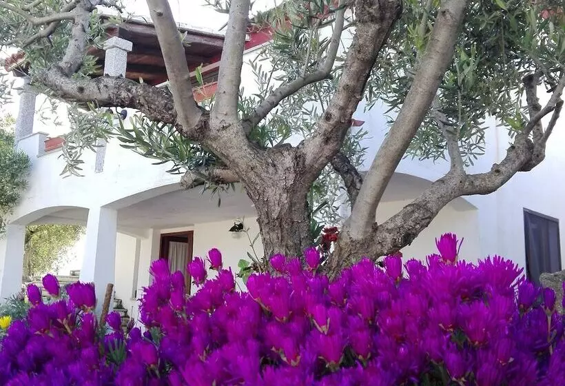 田舎風ホテル Agriturismo B&b Domo De Resteblas