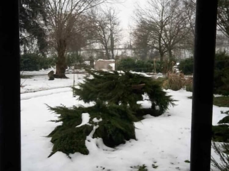 בית מלון כפרי Agriturismo Dosso Al Porto