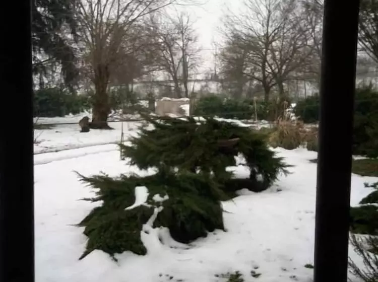 田舎風ホテル Agriturismo Dosso Al Porto