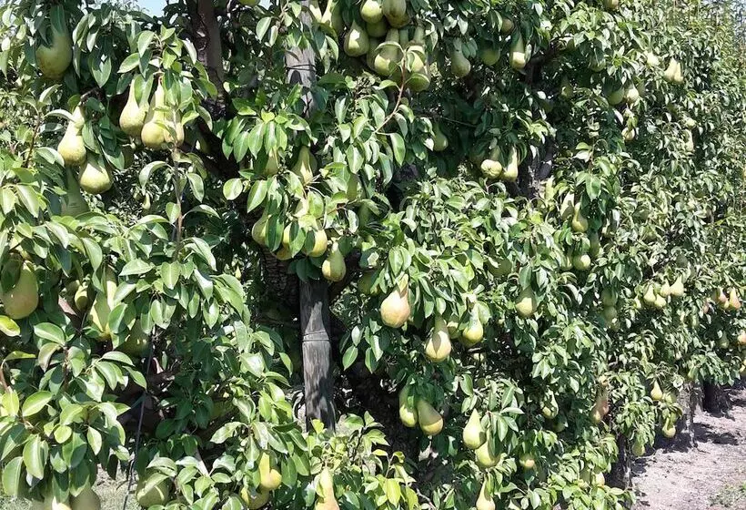 田舎風ホテル Agriturismo Dosso Al Porto