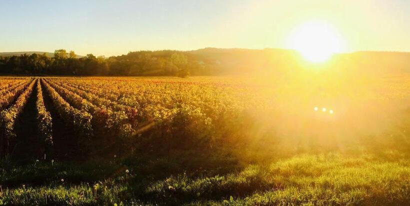 펜션 Domaine Pont Juillet