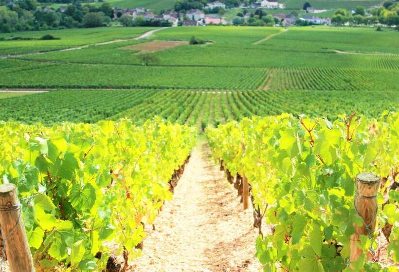 펜션 Domaine Pont Juillet