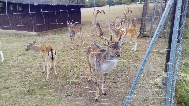 Majatalo Lena S Holiday Room