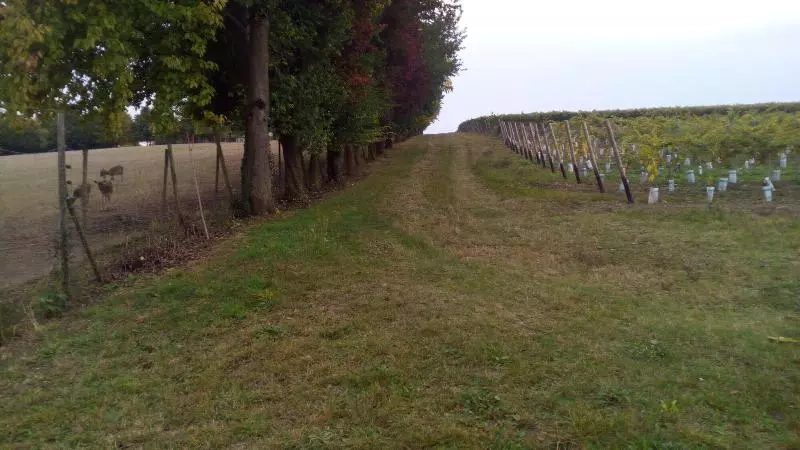 Majatalo Lena S Holiday Room