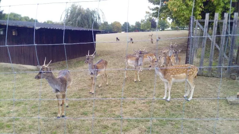 Majatalo Lena S Holiday Room