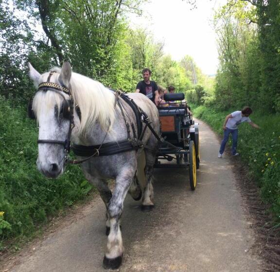 פנסיון Les Couleurs Du Verger