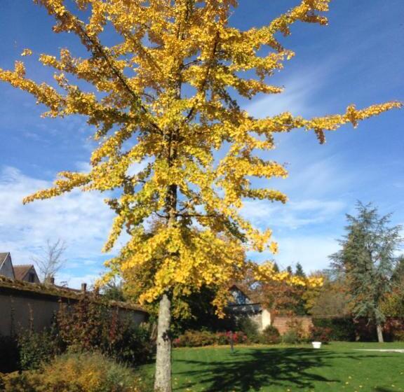 פנסיון Les Couleurs Du Verger