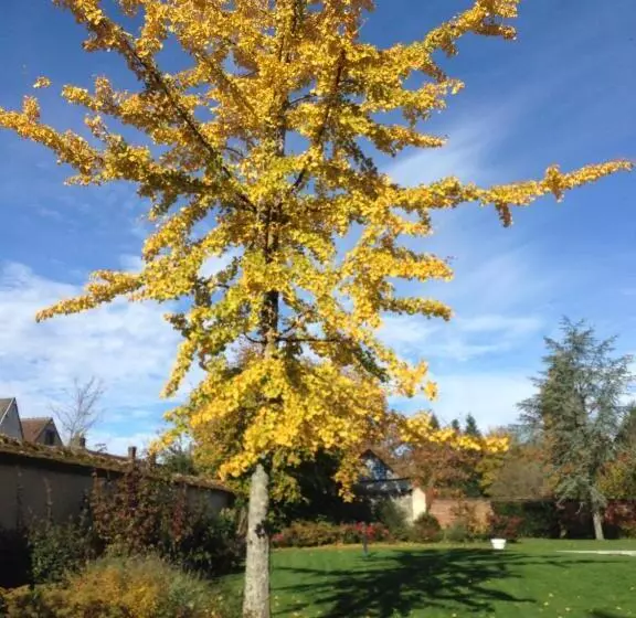 ペンション Les Couleurs Du Verger