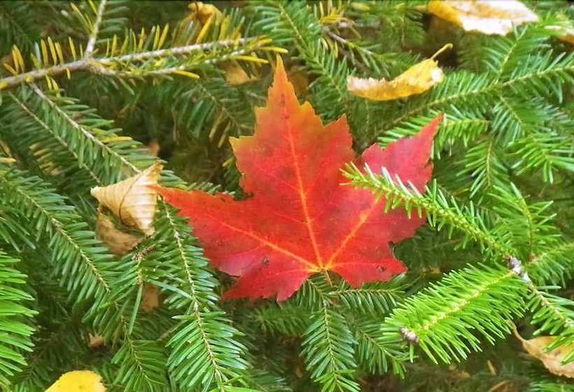 The Mission House Bed & Breakfast