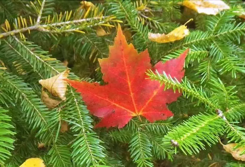 The Mission House Bed & Breakfast