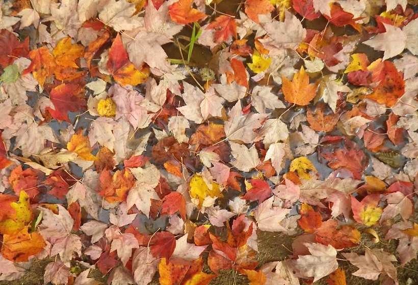 The Mission House Bed & Breakfast