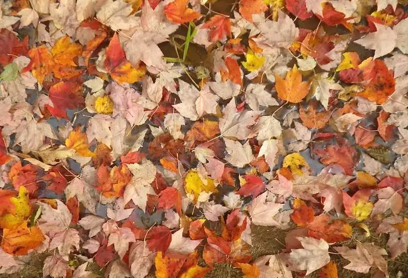 The Mission House Bed & Breakfast