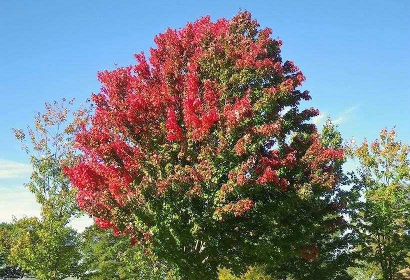 The Mission House Bed & Breakfast