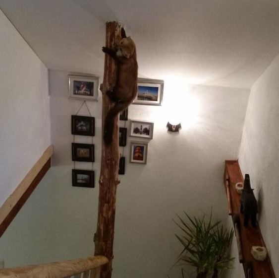 Ferienhaus Zum Jägerstübchen