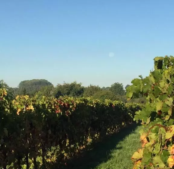 Aamiaismajoitus (B&B) La Girarde