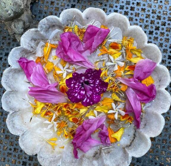 Bed and Breakfast Le Logis Blanc Bed&breakfast