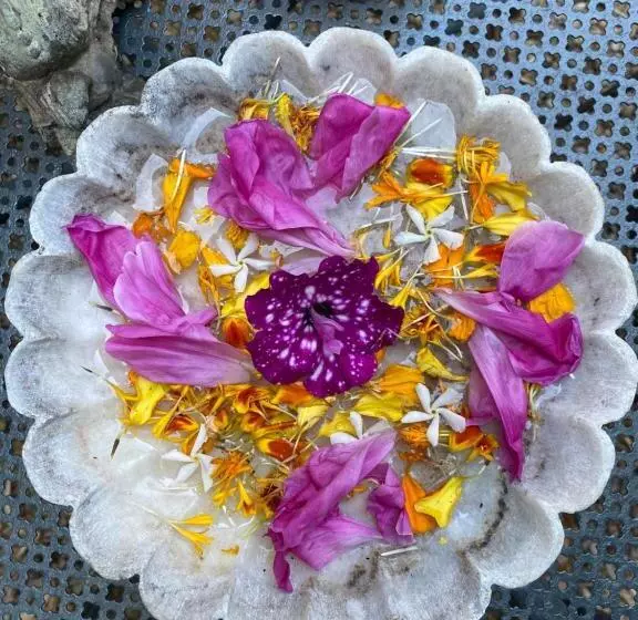 Aamiaismajoitus (B&B) Le Logis Blanc Bed&breakfast