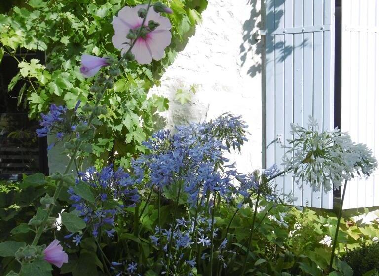 Bed and Breakfast Chambre D Hôtes Les 2 Madeleine