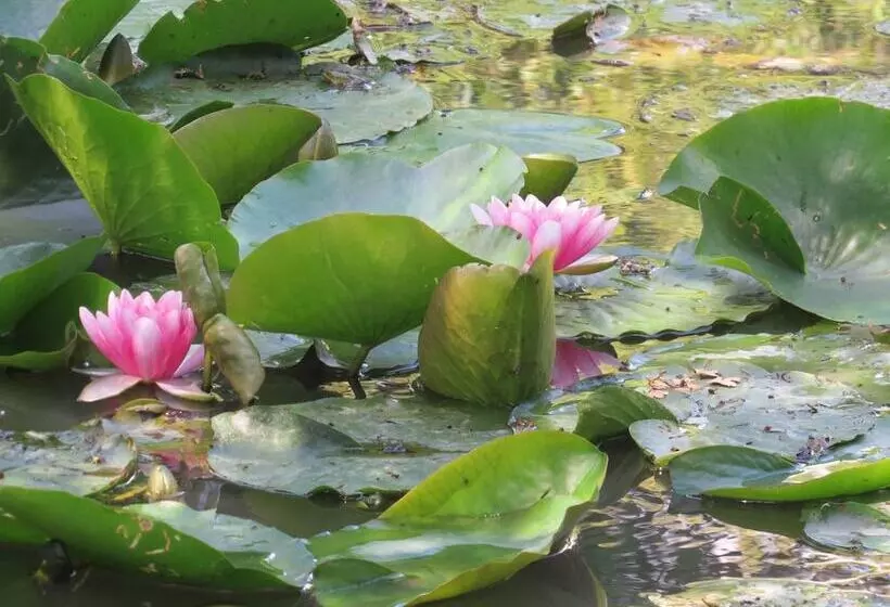 Aamiaismajoitus (B&B) Moulin De La Croix