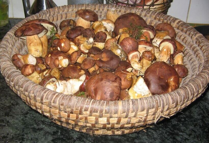 بنسيون Chambres D'hôtes La Forge