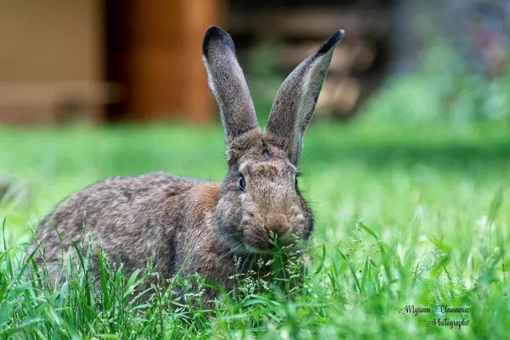 Majatalo Chez Aurélia   Chambres & Table D Hôtes