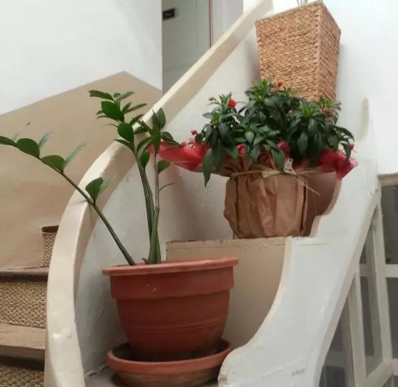 Majatalo Le Patio Des Cigales