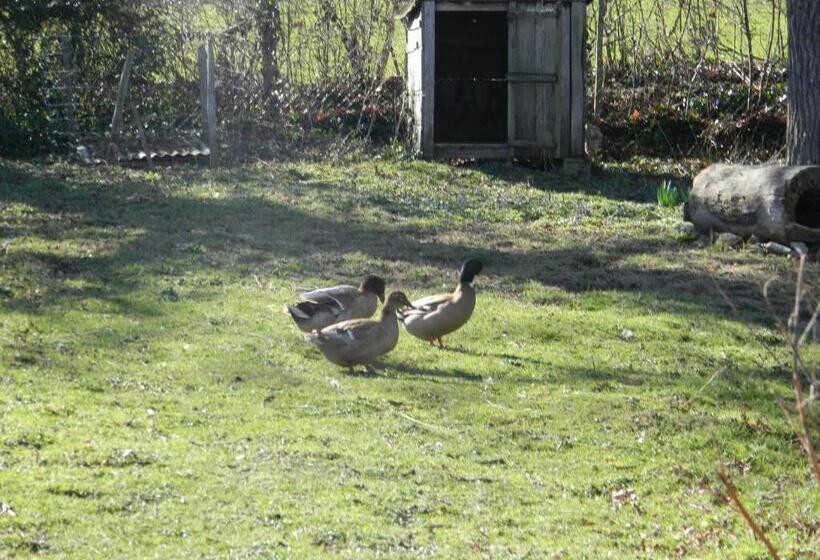بنسيون Meublés De Tourisme La Reserve