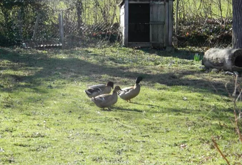 ペンション Meublés De Tourisme La Reserve