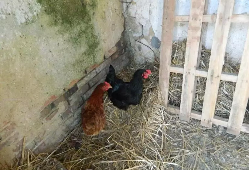 ペンション Meublés De Tourisme La Reserve