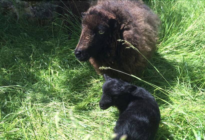 渡假胜地 Village De Gite La Cascade